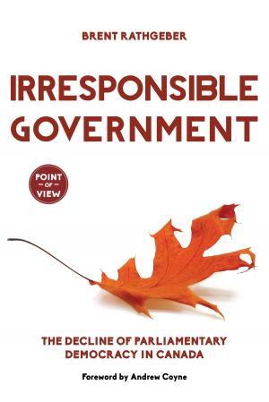 Cover of the book Irresponsible Government by Peter Pigott