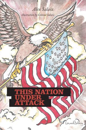 Cover of the book This Nation under Attack by Isana