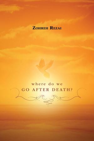 bigCover of the book Where do we go after death? by 