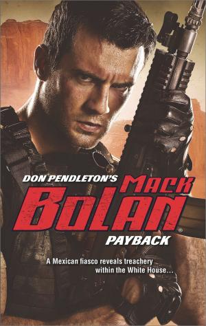 Cover of the book Payback by Don Pendleton