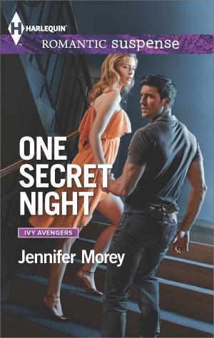 Cover of the book One Secret Night by Patricia Potter