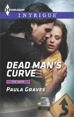Cover of the book Dead Man's Curve by Richard Black