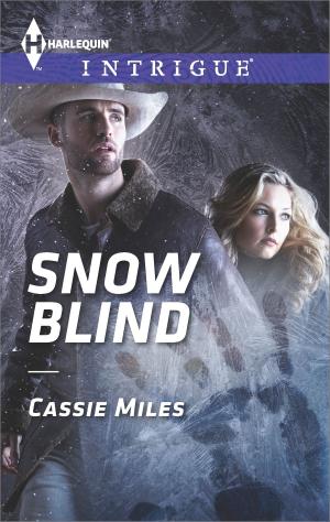 Cover of the book Snow Blind by Claire McEwen