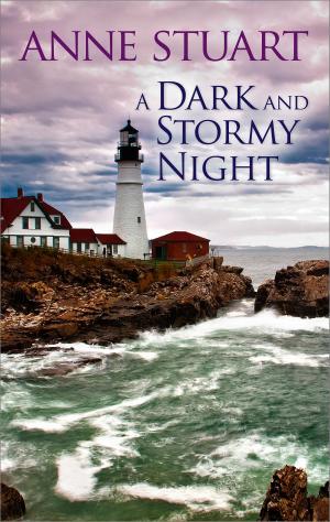 Cover of the book A Dark and Stormy Night by Donna Alward