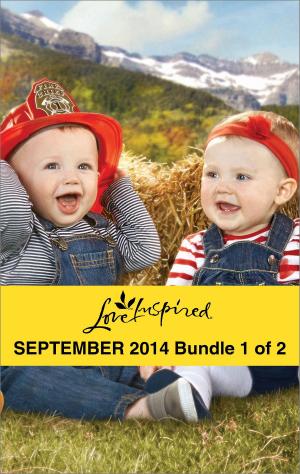 Book cover of Love Inspired September 2014 - Bundle 1 of 2