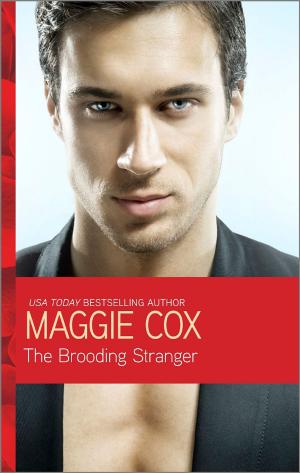 Cover of the book The Brooding Stranger by Celia Kennedy, Connie Stephany, S.E. Babin, Laurie Baxter, Engy Albasel Neville, Amy Gettinger, Whitney Dineen, Suzie Jay