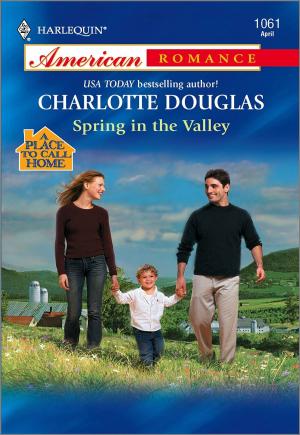 Cover of the book Spring in the Valley by Betty Neels