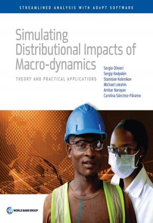 Book cover of Simulating Distributional Impacts of Macro-dynamics