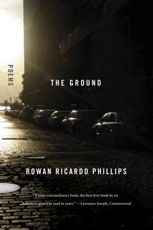 Cover of the book The Ground by Carlos Fuentes