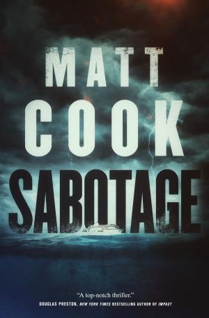 Cover of the book Sabotage by Ann Aguirre