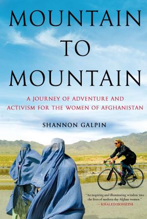 Book cover of Mountain to Mountain