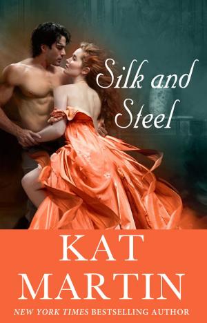 Cover of the book Silk and Steel by Sherry Conway Appel