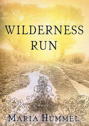 Cover of the book Wilderness Run by Tom McMakin