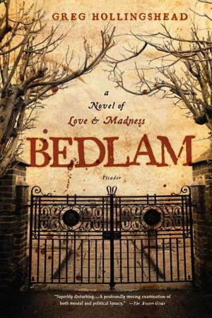 Cover of the book Bedlam by Roger Priddy