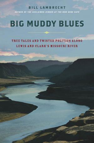 Cover of the book Big Muddy Blues by Matt Braun
