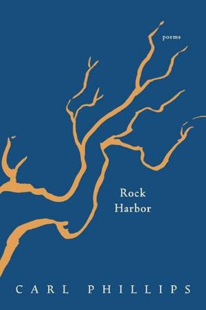 Cover of the book Rock Harbor by Stephen Prothero