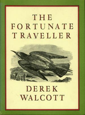 Book cover of The Fortunate Traveller