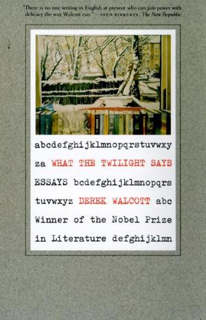 Book cover of What the Twilight Says
