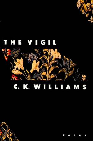 Book cover of The Vigil