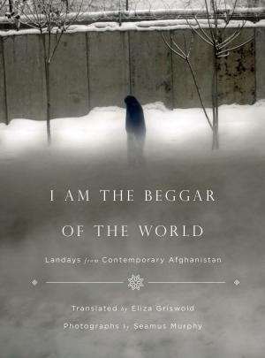 Cover of the book I Am the Beggar of the World by Ted Scheinman