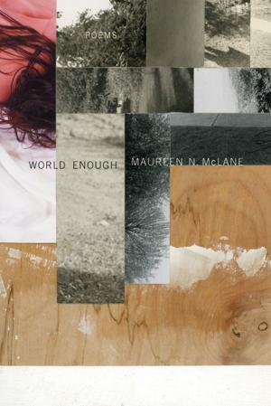 Cover of the book World Enough by Nick Payne