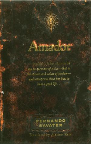 Cover of the book Amador by Paula Fox