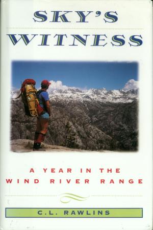Cover of the book Sky's Witness by Dr. Abraham Morgentaler MD, M.D., FACS