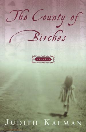 Cover of the book The County of Birches by Kerry Newcomb