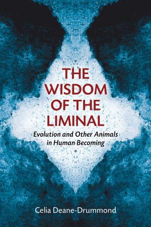 Book cover of The Wisdom of the Liminal