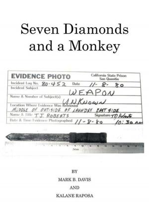 Cover of the book Seven Diamonds and a Monkey by Martin Sandy Doria