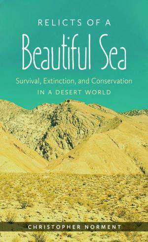 Cover of the book Relicts of a Beautiful Sea by Pete Daniel