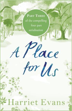 Cover of the book A Place for Us Part 3 by Jules Stanbridge