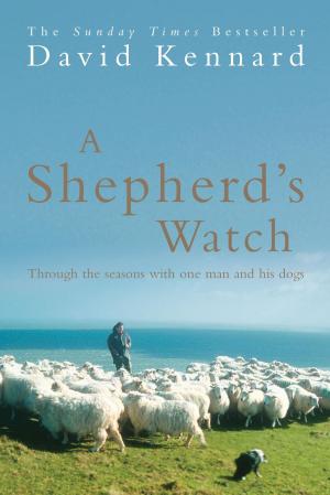 Book cover of A Shepherd's Watch