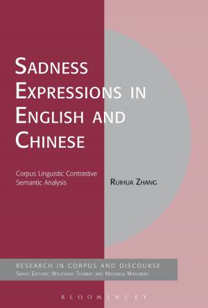 Cover of the book Sadness Expressions in English and Chinese by Darren Bradley