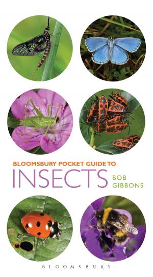 Cover of the book Pocket Guide to Insects by Mr Gervais Williams