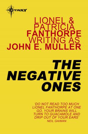 Book cover of The Negative Ones