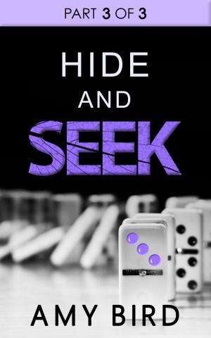 Cover of the book Hide And Seek (Part 3) by A. F. E. Smith