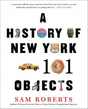 Cover of the book A History of New York in 101 Objects by Robert Buderi, Gregory T. Huang