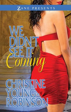 Cover of the book We Didn't See it Coming by Jordan Dane