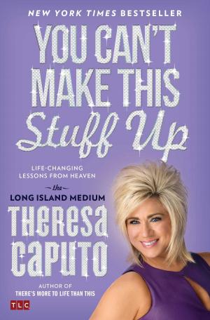 Cover of the book You Can't Make This Stuff Up by Stephen Larsen, Ph.D.
