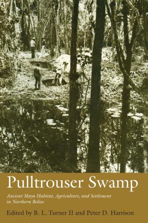 Cover of the book Pulltrouser Swamp by Dionicio Nodín Valdés