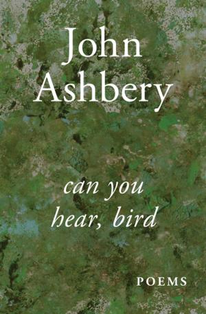Cover of the book Can You Hear, Bird by Elizabeth A. Lynn