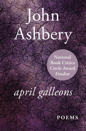 Cover of the book April Galleons by Caroline B. Cooney