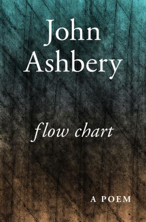 Cover of the book Flow Chart by Elizabeth Mansfield
