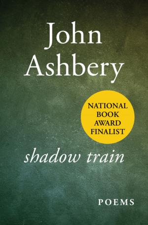 bigCover of the book Shadow Train by 