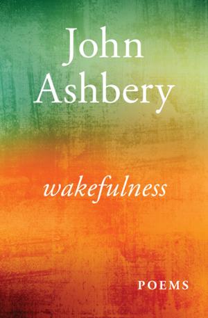 bigCover of the book Wakefulness by 