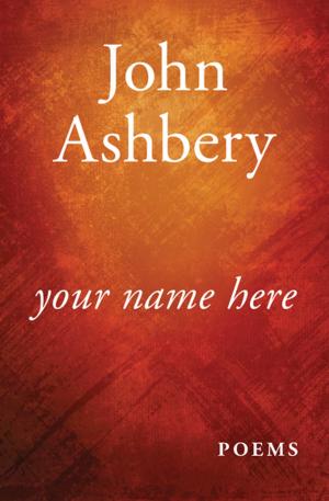 Cover of the book Your Name Here by Paul Lederer