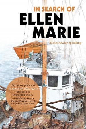 Cover of the book In Search of Ellen Marie by Jerry Bronk