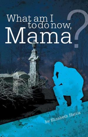 Cover of the book What Am I to Do Now, Mama? by R. Mark Peard