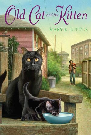 Cover of the book Old Cat and the Kitten by Patricia Lakin